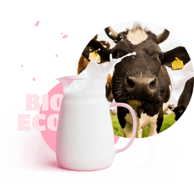 Bio-eco: mug of milk and cow
